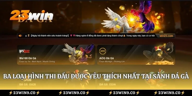 Ba loại hình thi đấu được yêu thích nhất tại sảnh đá gà