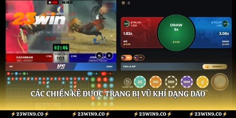 Các chiến kê được trang bị vũ khí dạng dao