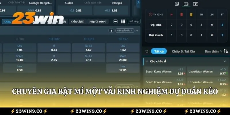 Chuyên gia bật mí một vài kinh nghiệm dự đoán kèo