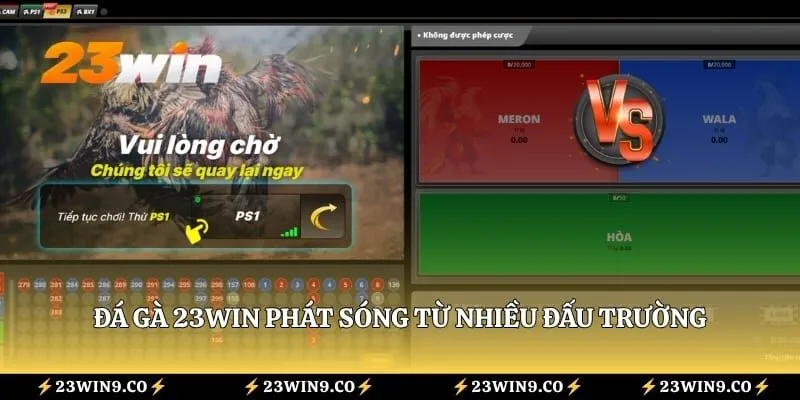 Đá gà 23WIN phát sóng từ nhiều đấu trường