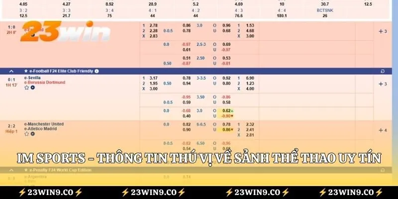 IM Sports - Thông Tin Thú Vị Về Sảnh Thể Thao Uy Tín