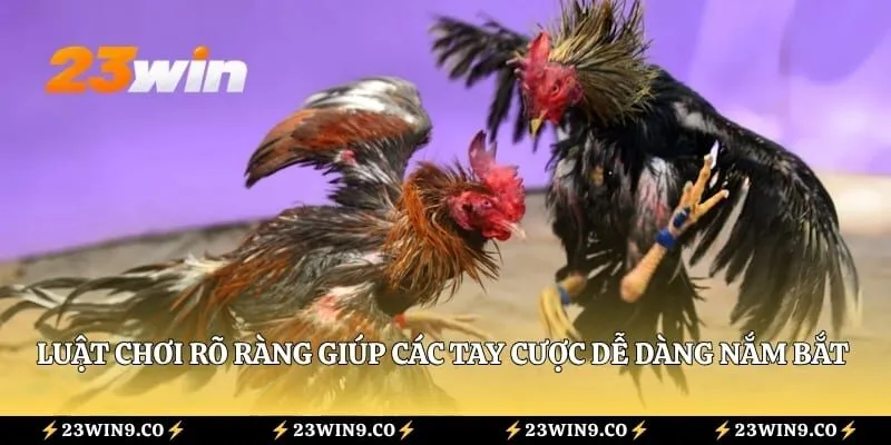 Luật chơi rõ ràng giúp các tay cược dễ dàng nắm bắt diễn biến trận đấu