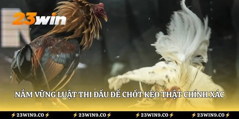 Nắm vững luật thi đấu để chốt kèo thật chính xác