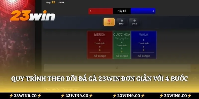Quy trình theo dõi đá gà 23WIN đơn giản với 4 bước