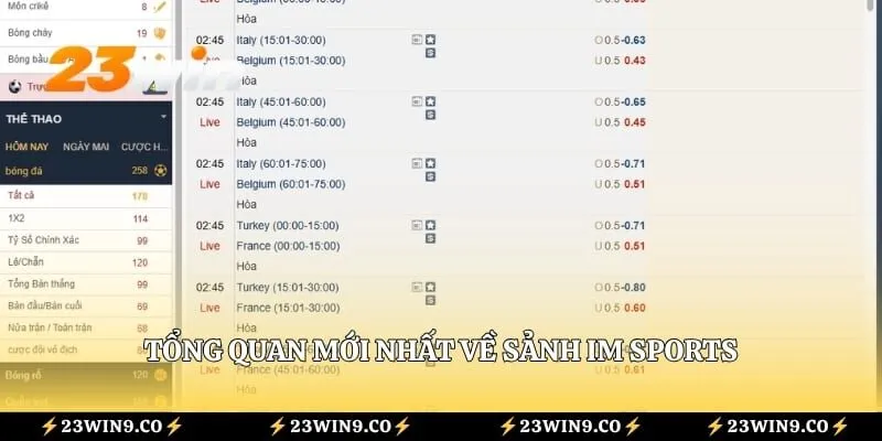 Tổng quan mới nhất về sảnh IM Sports