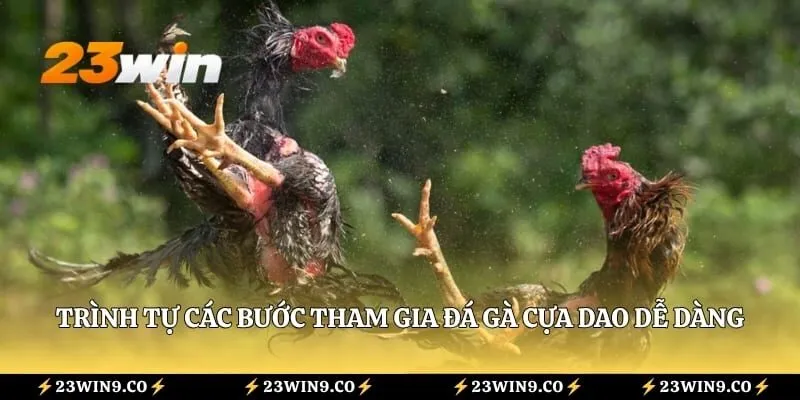 Trình tự các bước tham gia đá gà cựa dao dễ dàng và nhanh chóng