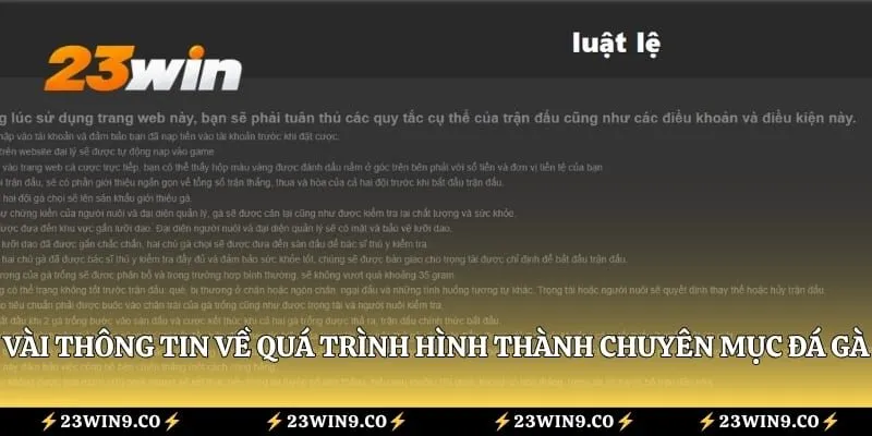 Vài thông tin về quá trình hình thành chuyên mục đá gà
