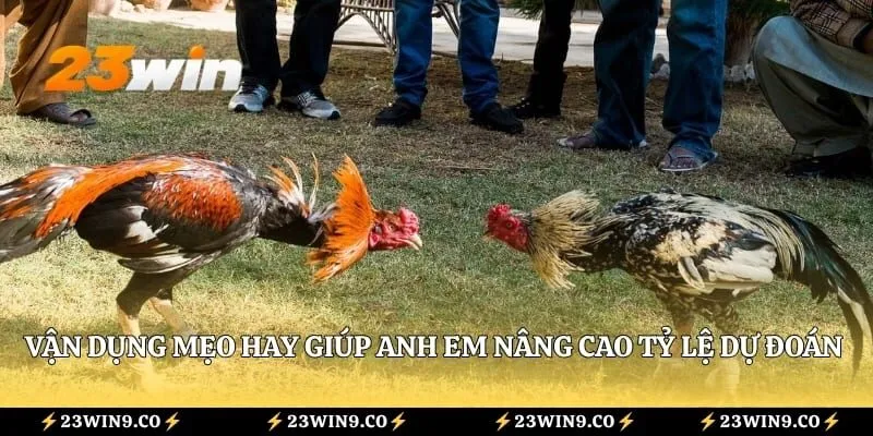Vận dụng mẹo hay giúp anh em nâng cao tỷ lệ dự đoán chính xác